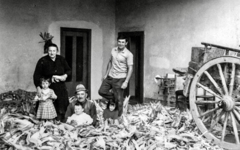 Ponte San Pietro, quarantasei foto: ecco la vita contadina di Locate