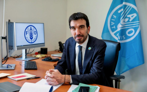 Il vicedirettore bergamasco della Fao, Maurizio Martina: la mia quotidiana lotta contro la fame nel mondo