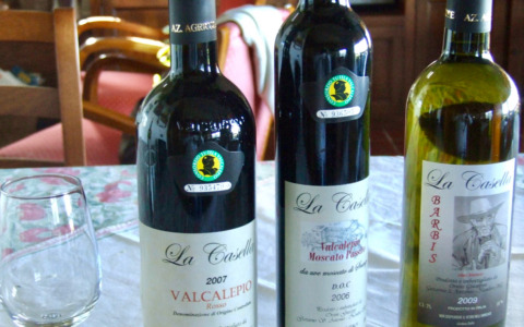 C’è anche Nembro nella “Guida oro dei vini Veronelli 2026” grazie all’azienda agricola Orsini