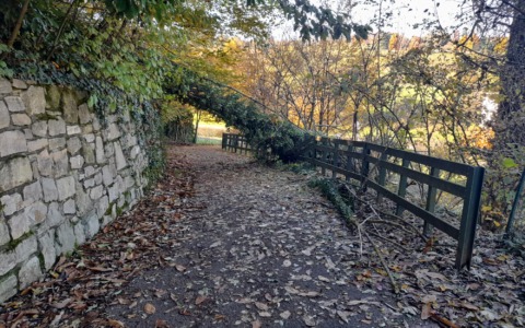 Un grande albero cade e blocca la Greenway del Morla: «Per fortuna non passava nessuno…»