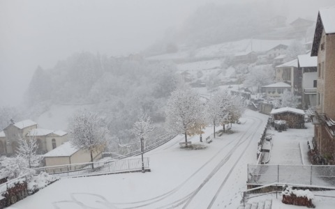 È arrivata la neve in Bergamasca, imbiancata dalle montagne alla pianura. Disagi sulle strade e per i treni
