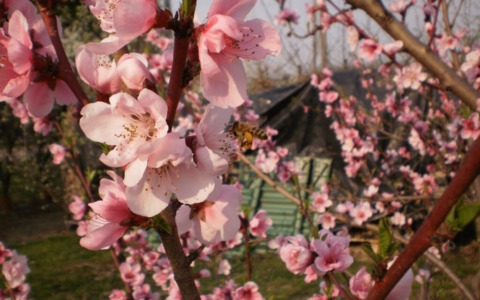 Altro che “Meta”. Mèt è molto meglio, perché serve decisamente di più