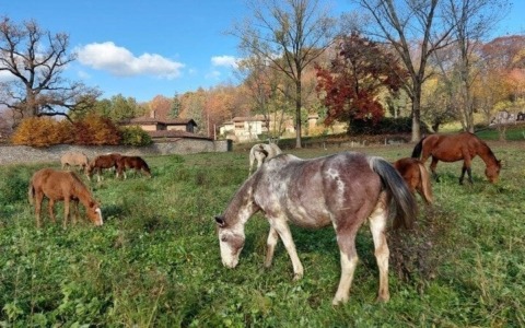 L’appello a sindaci e cittadini: «Fermate la Paladina-Sedrina, distruggerebbe il Parco dei Colli di Bergamo»