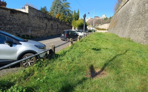 Grande novità in Città Alta: arriva la prima area cani. Approvati in Giunta anche i lavori in tre parchi cittadini