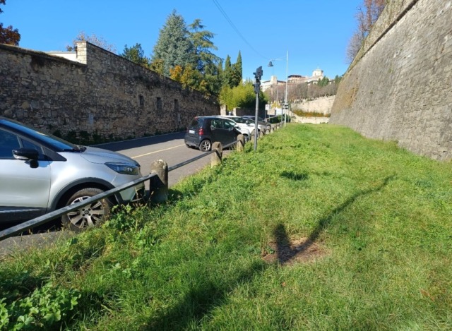 Grande novità in Città Alta: arriva la prima area cani. Approvati in Giunta anche i lavori in tre parchi cittadini