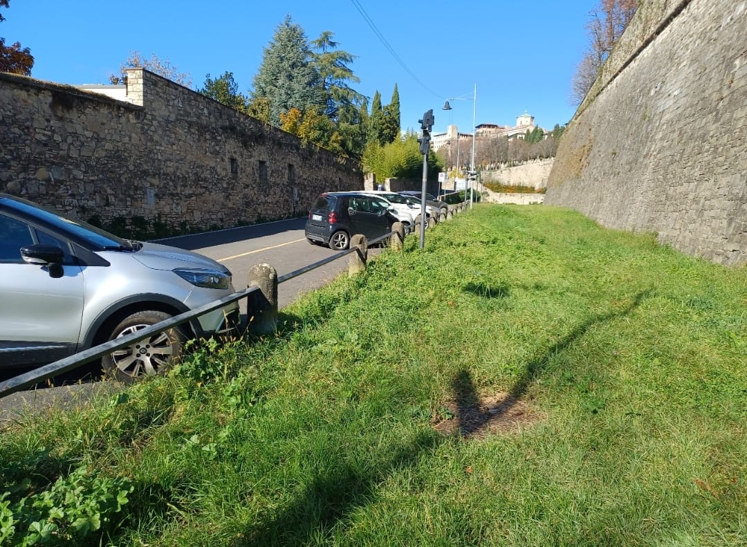 Grande novità in Città Alta: arriva la prima area cani. Approvati in Giunta anche i lavori in tre parchi cittadini