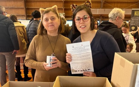 La colonia di gatti “Pallina e gli invisibili” ad Azzano San Paolo chiede aiuto: le donazioni non bastano