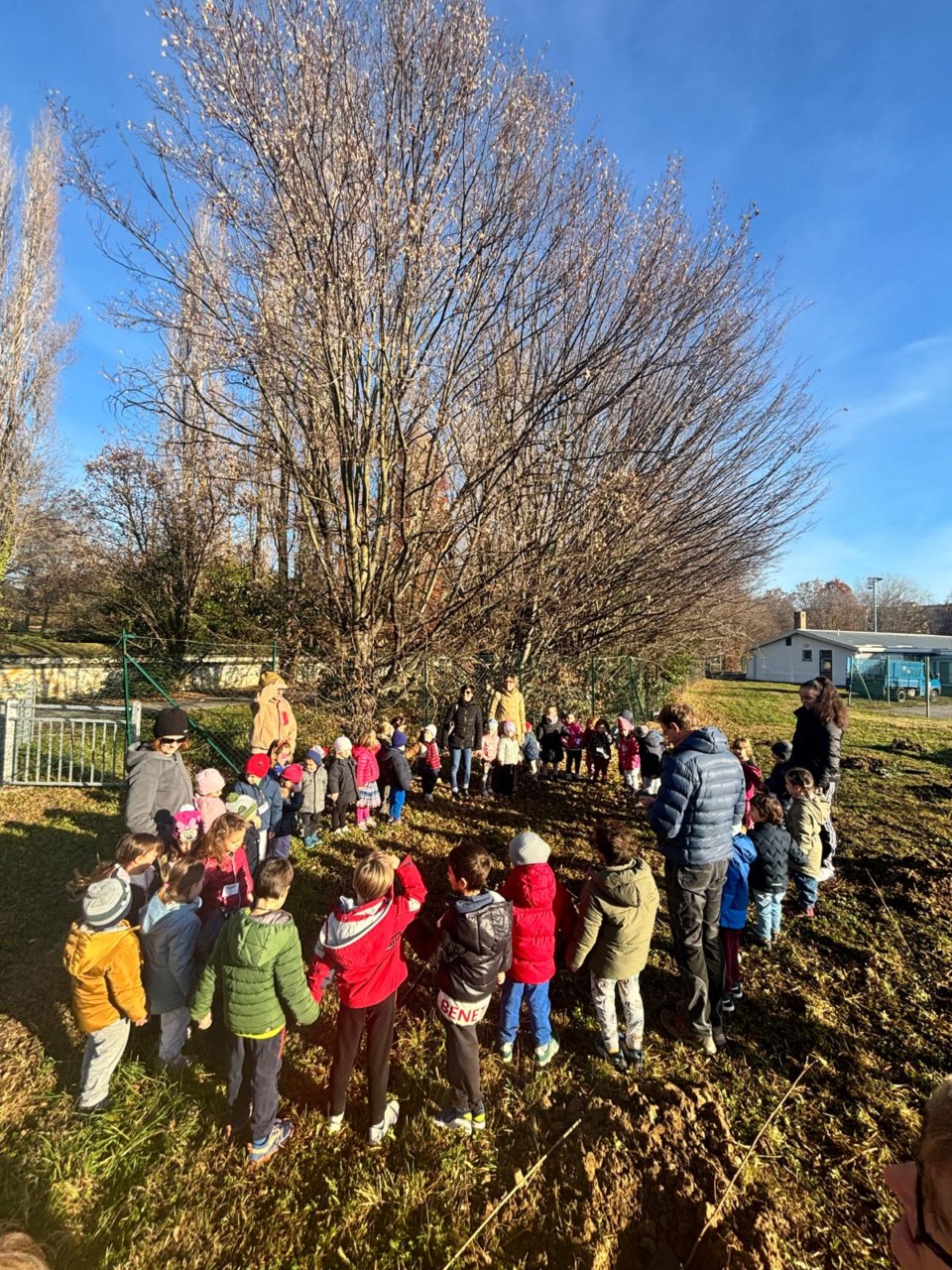 Piantato un bosco a Loreto, un’area trafficata diventerà un corridoio naturale che rinfrescherà il quartiere