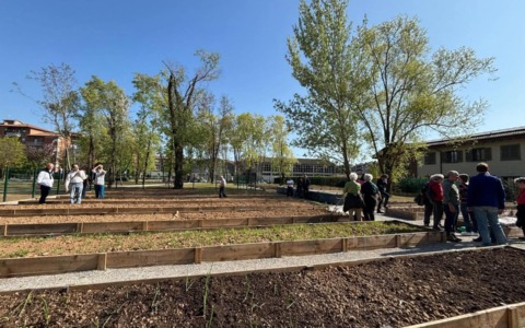 Bergamo mette a disposizione 34 nuovi orti urbani: aperto il bando, per le domande c’è tempo fino al 12 gennaio