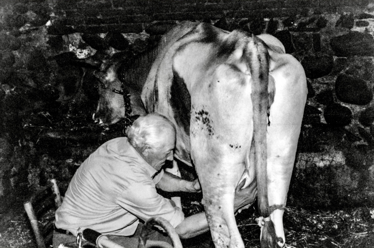La cultura e la tradizione di Locate a Ponte San Pietro riaffiora nelle storie, nei nomi e… nei campi