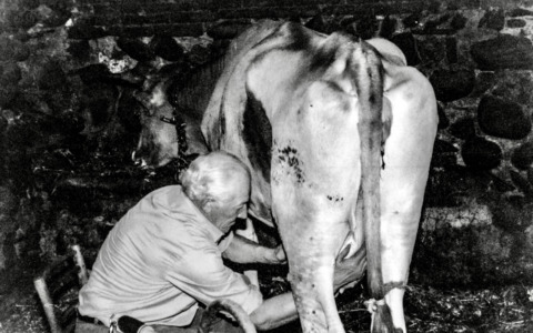 La cultura e la tradizione di Locate a Ponte San Pietro riaffiora nelle storie, nei nomi e… nei campi