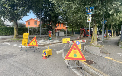Via I Maggio a Lallio chiude dal 16 dicembre per l’abbattimento degli alberi e la riqualificazione
