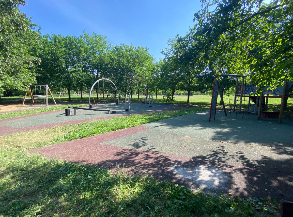 Bergamo avrà entro l’estate parchi più curati e nuove aree cani: il Comune investe 350 mila euro nel verde