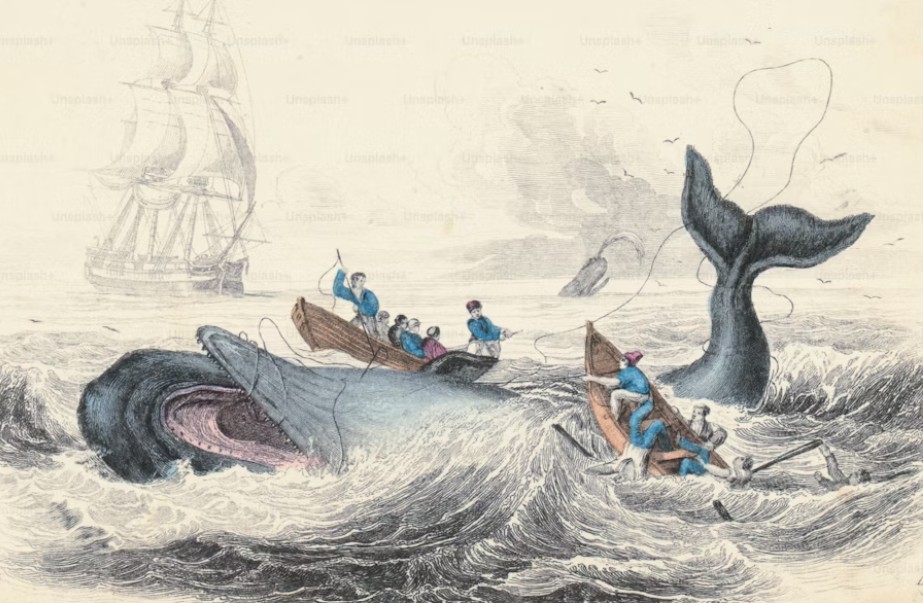 La balena più famosa di tutte sbarca a Seriate: il narratore Roberto Mercadini racconta “Moby Dick”