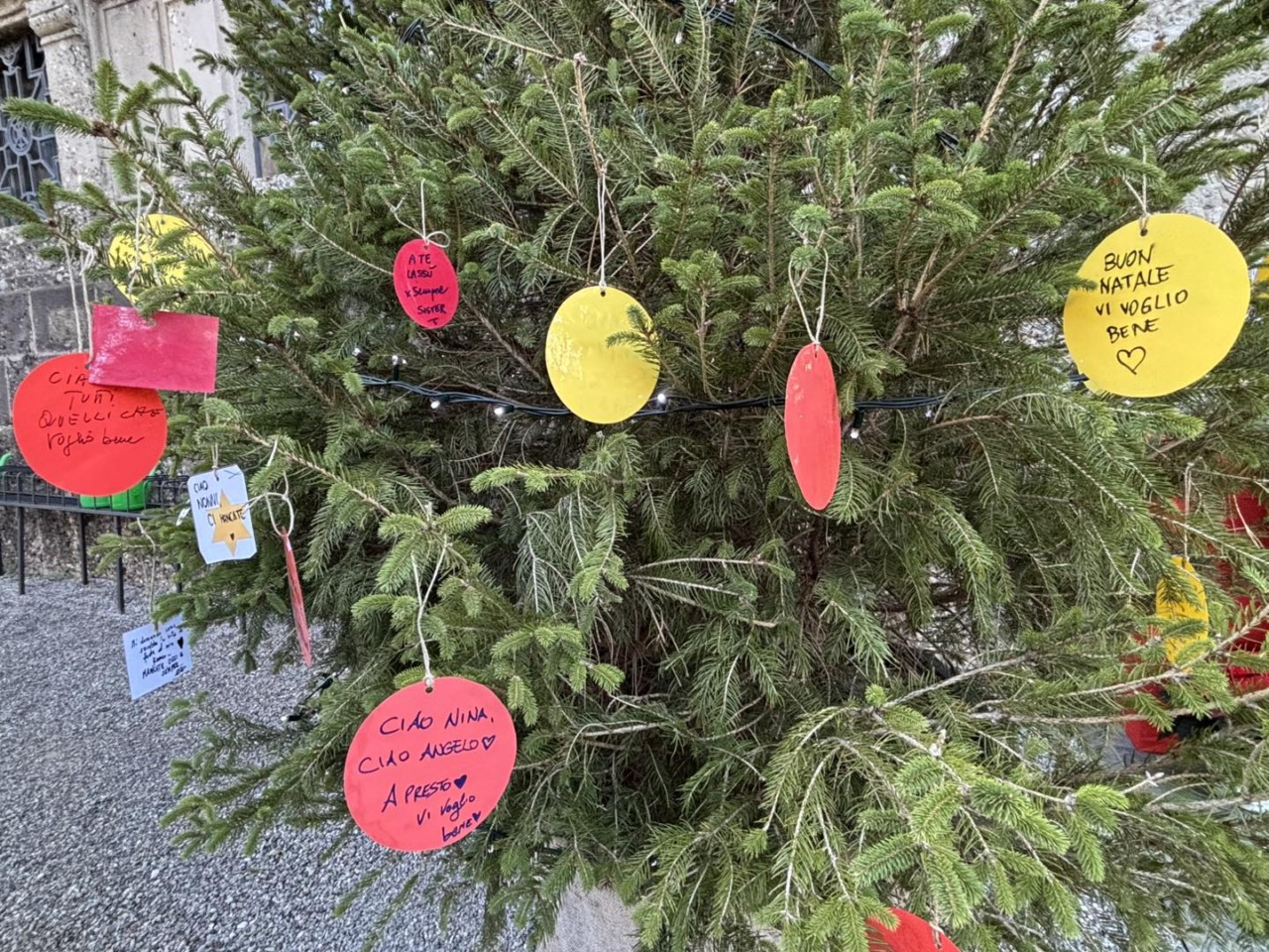 Al cimitero Monumentale di Bergamo torna l’Albero della Memoria: pensieri e ricordi per chi non c’è più