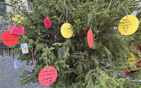 Al cimitero Monumentale di Bergamo torna l’Albero della Memoria: pensieri e ricordi per chi non c’è più