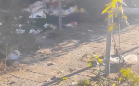 Bivacchi vicino al parco e alle abitazioni in via Gritti. Tra rifiuti, topi, siringhe e liquidi stagnanti