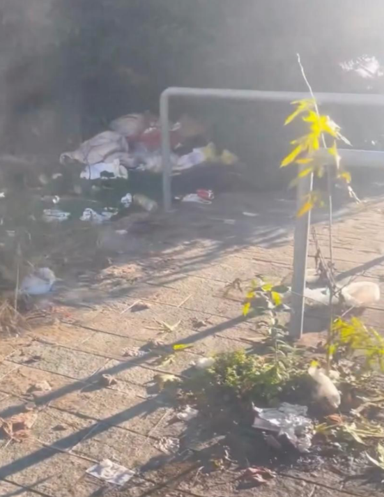 Bivacchi vicino al parco e alle abitazioni in via Gritti. Tra rifiuti, topi, siringhe e liquidi stagnanti