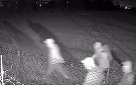 Arrivano dai campi per rubare nelle case: il video dei ladri messi in fuga dall’allarme a Martinengo