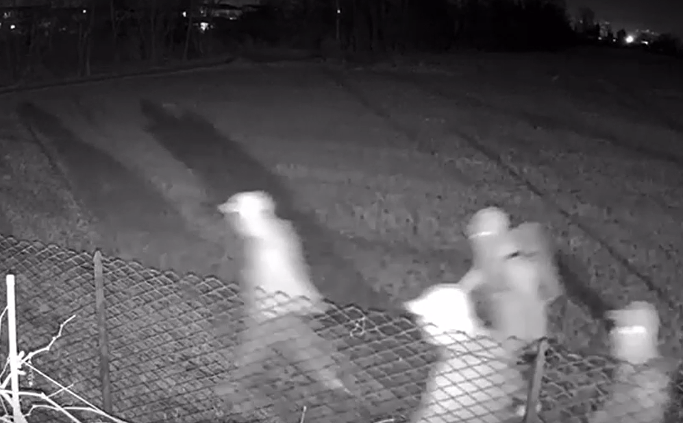 Arrivano dai campi per rubare nelle case: il video dei ladri messi in fuga dall’allarme a Martinengo