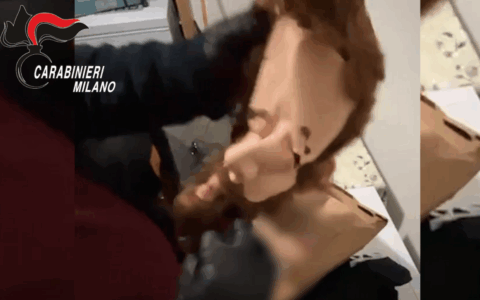 Altro colpo al narcotraffico in Bergamasca: arrestata banda, sequestrati 340 chili di hashish e armi