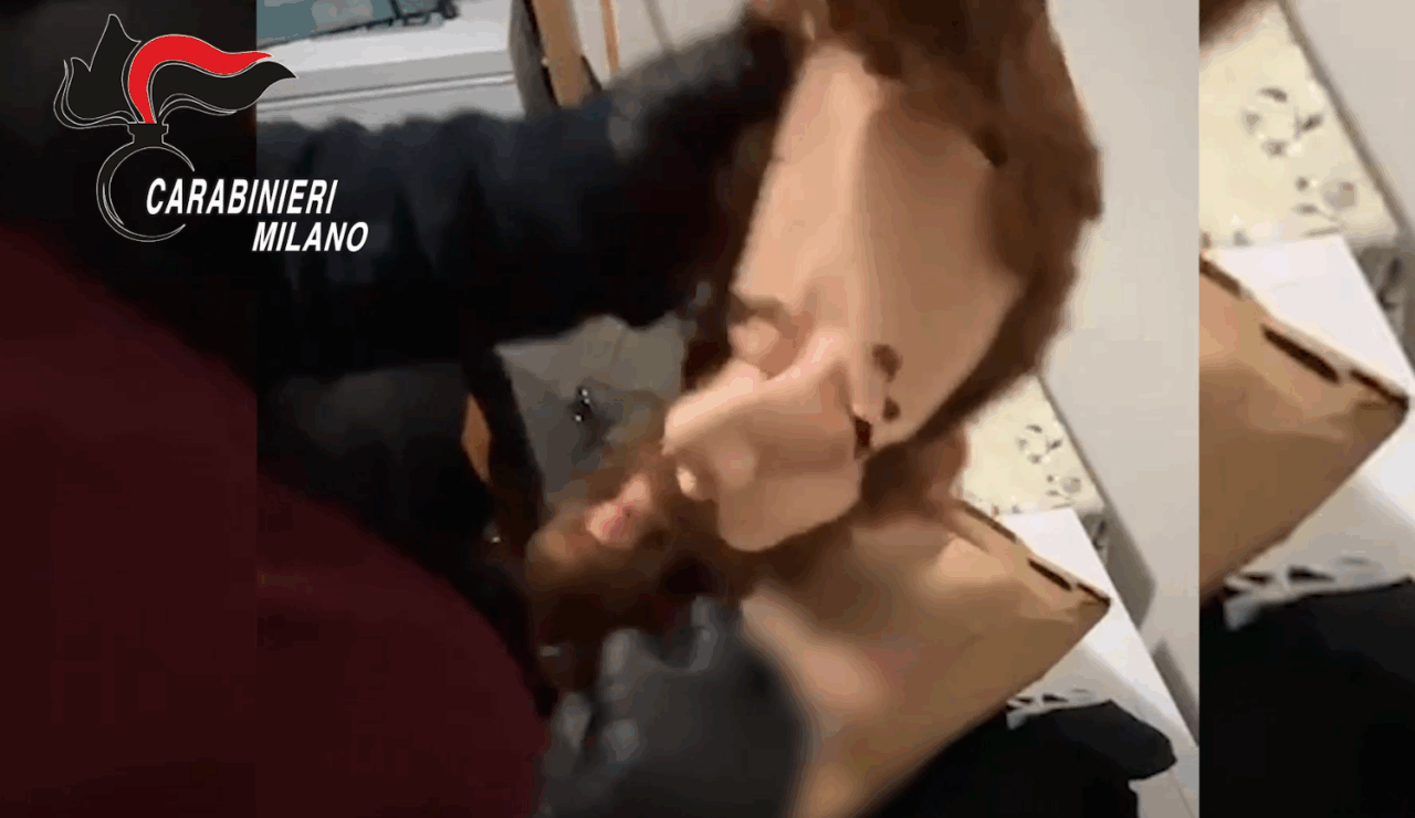 Altro colpo al narcotraffico in Bergamasca: arrestata banda, sequestrati 340 chili di hashish e armi