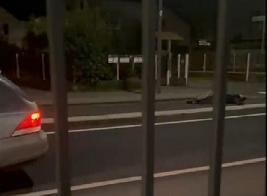 Si getta contro un’auto fingendo di essere investito: truffa a Romano