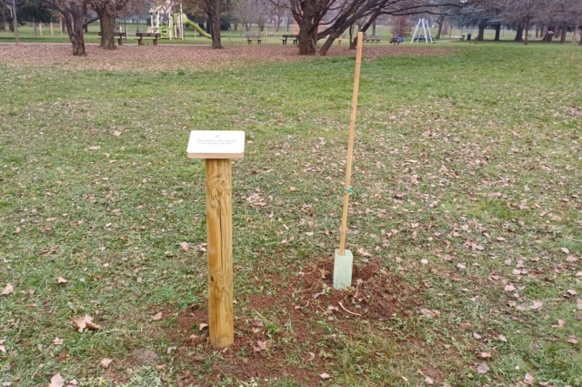 Ripiantato il seme di Gernika donato dall’Athletic Bilbao. Posizionata anche la targa commemorativa