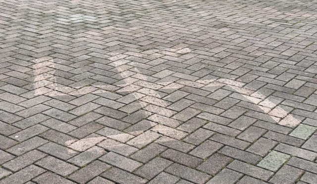 Davanti al Centro incontri e cultura di Antegnate è stata disegnata una svastica con una idropulitrice