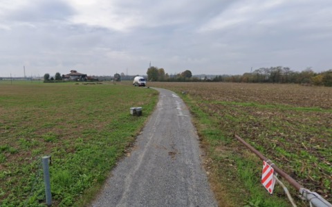 Assalto all’alba dell’Epifania: cinque pecore sbranate dai lupi a Bonate Sotto