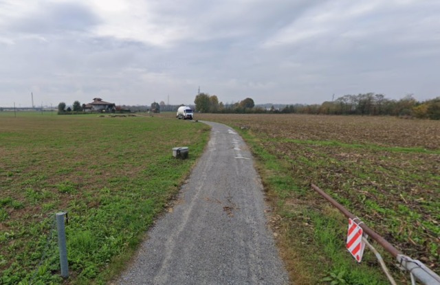 Assalto all’alba dell’Epifania: cinque pecore sbranate dai lupi a Bonate Sotto