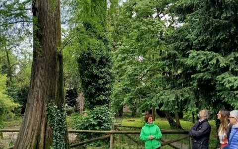 A febbraio ripartono le “immersioni forestali” nei giardini pubblici: si comincia dal Parco Caprotti