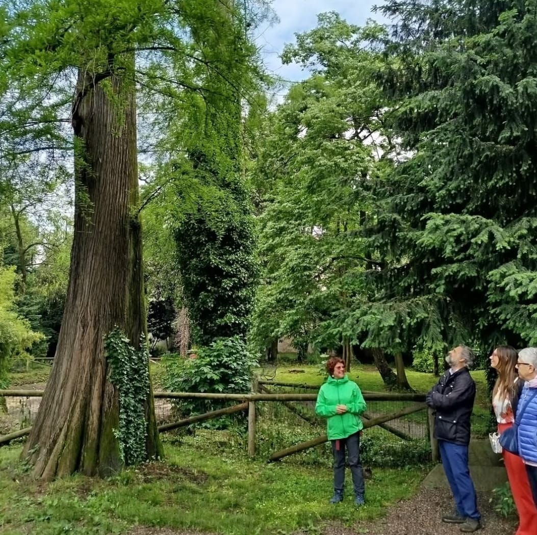 A febbraio ripartono le “immersioni forestali” nei giardini pubblici: si comincia dal Parco Caprotti