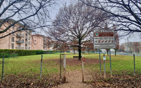 Polemiche su aree verdi e cani, in arrivo un nuovo regolamento per i parchi a Stezzano