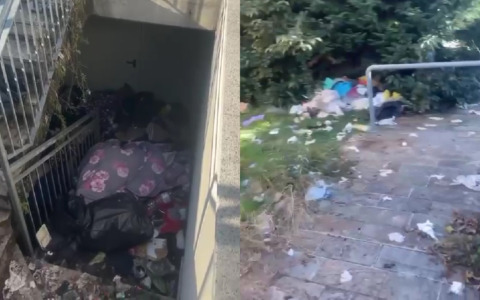 Via Gritti a Bergamo, i video del degrado tra siringhe e topi: «Un angolo dimenticato da Dio, che schifo»