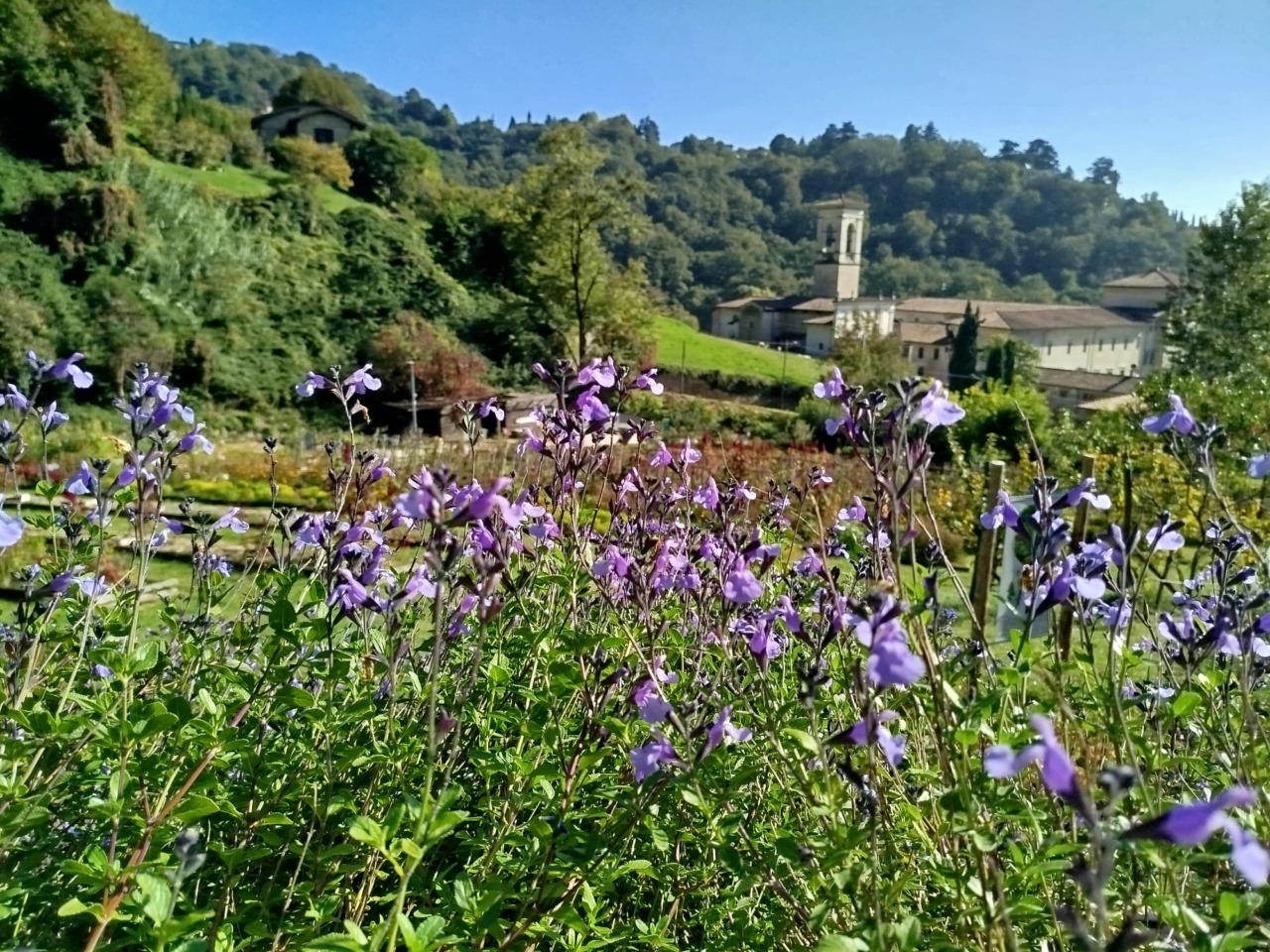 In Valle d’Astino nasce la prima tartufaia comunale: i primi funghi ipogei fra tre-cinque anni