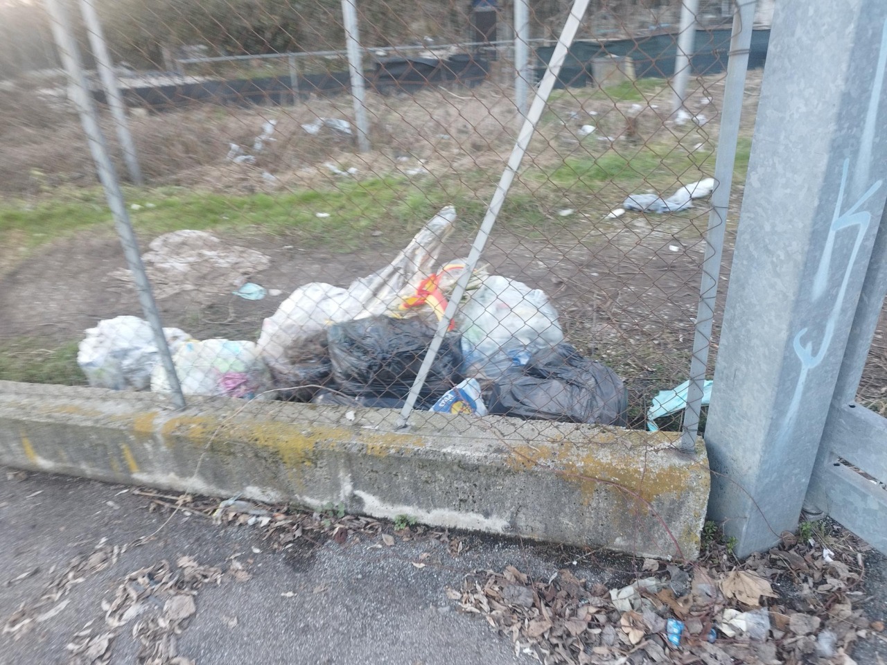 Accampamento abusivo a Campagnola, la segnalazione di un lettore: «Tende camuffate nella boscaglia»