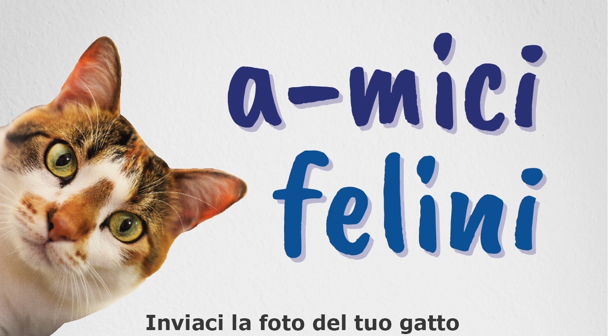 Giornata nazionale del gatto 2026, mandateci le vostre foto e le pubblicheremo sul nostro giornale!