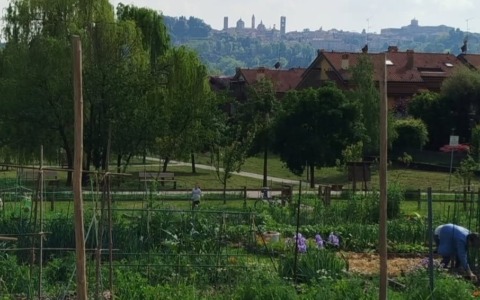 Orti urbani, a Bergamo boom di domande: 117 per 34 appezzamenti