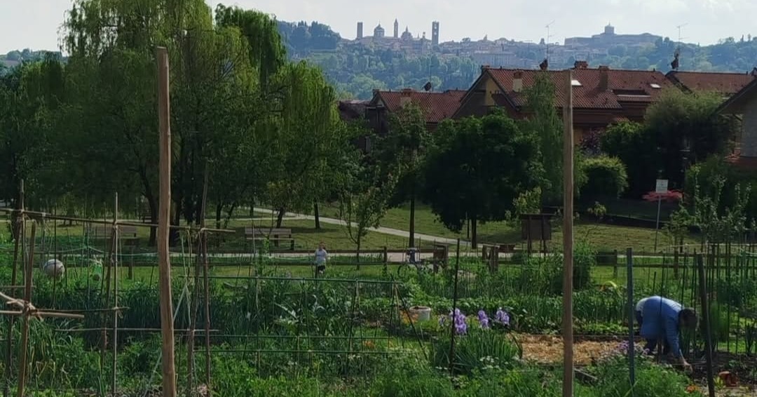 Orti urbani, a Bergamo boom di domande: 117 per 34 appezzamenti