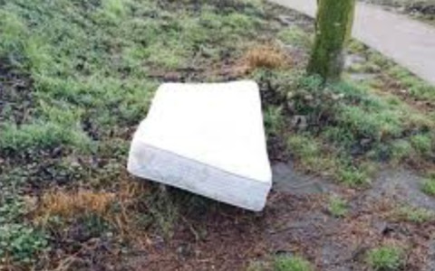 Materasso abbandonato nel parco del cimitero di Capriate: multa di mille euro ai responsabili