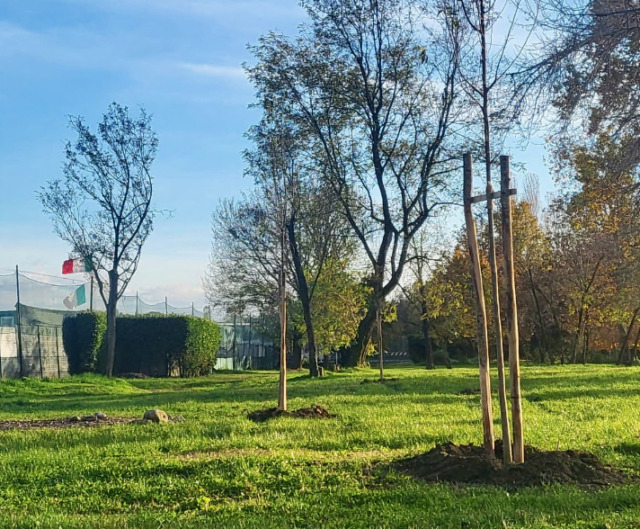 Tarlo asiatico, a Treviolo riparte il monitoraggio delle aree verdi (e anche dei giardini privati)