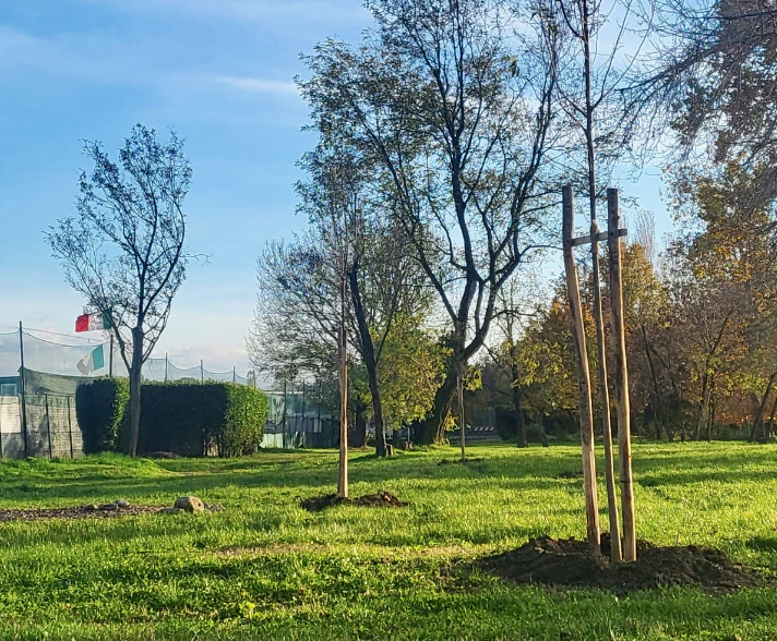 Tarlo asiatico, a Treviolo riparte il monitoraggio delle aree verdi (e anche dei giardini privati)