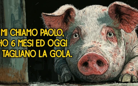 Censurata la campagna di Lav Bergamo sugli allevamenti: «È inaccettabile: solo perché mostra una realtà scomoda»