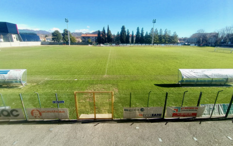 Il campo da calcio della discordia a Ponte San Pietro: la colpa è degli insetti giapponesi?