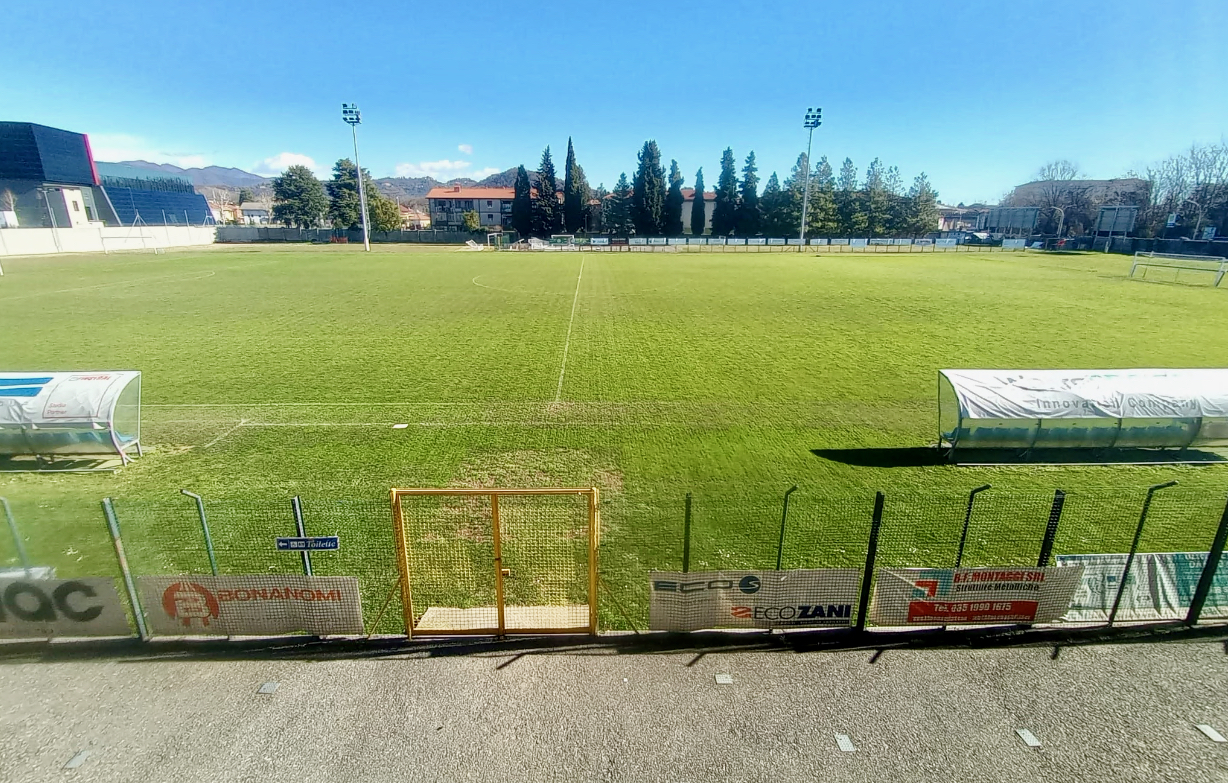 Il campo da calcio della discordia a Ponte San Pietro: la colpa è degli insetti giapponesi?