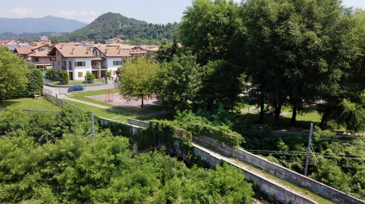 Tarlo asiatico, purtroppo ci risiamo: abbattimenti previsti nei giardini di Mozzo