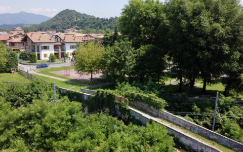 Tarlo asiatico, purtroppo ci risiamo: abbattimenti previsti nei giardini di Mozzo