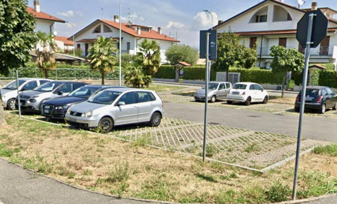 Un’auto pirata ha ucciso il gatto Cucci ad Azzano San Paolo: «Non è la prima volta, è ora di dire basta»