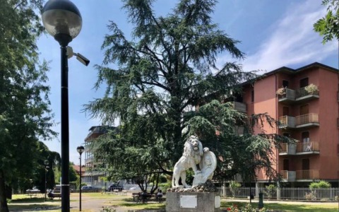 Il vandalo “beccato” dalla telecamera che voleva sabotare